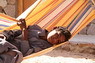 Kamel Reiten Nuweiba