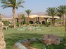 Bilder vom Hilton Coral Resort Nuweiba