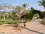 Bilder vom Hilton Coral Resort Nuweiba