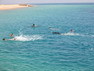 Bilder vom Hilton Coral Resort Nuweiba