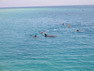 Bilder vom Hilton Coral Resort Nuweiba