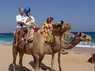 Kamel Reiten Nuweiba