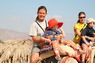 Kamel Reiten Nuweiba