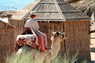 Kamel Reiten Nuweiba