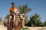 Kamel Reiten Nuweiba