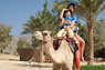 Kamel Reiten Nuweiba