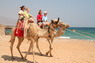 Kamel Reiten Nuweiba
