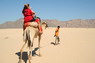 Kamel Reiten Nuweiba
