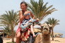 Kamel Reiten Nuweiba
