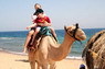 Kamel Reiten Nuweiba