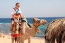 Kamel Reiten Nuweiba