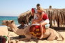 Kamel Reiten Nuweiba