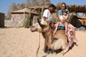 Kamel Reiten Nuweiba