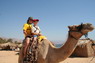 Kamel Reiten Nuweiba
