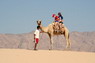 Kamel Reiten Nuweiba