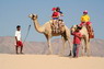 Kamel Reiten Nuweiba