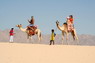 Kamel Reiten Nuweiba