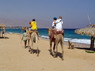 Kamel Reiten Nuweiba