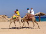 Kamel Reiten Nuweiba