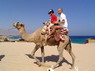 Kamel Reiten Nuweiba