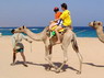 Kamel Reiten Nuweiba