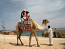 Kamel Reiten Nuweiba