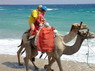 Kamel Reiten Nuweiba