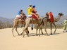 Kamel Reiten Nuweiba