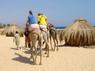 Kamel Reiten Nuweiba