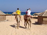 Kamel Reiten Nuweiba