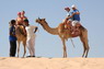 Kamel Reiten Nuweiba