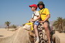 Kamel Reiten Nuweiba