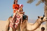 Kamel Reiten Nuweiba