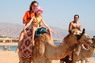 Kamel Reiten Nuweiba