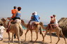 Kamel Reiten Nuweiba