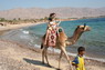 Kamel Reiten Nuweiba
