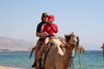Kamel Reiten Nuweiba