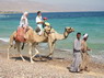 Kamel Reiten Nuweiba