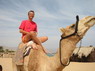 Kamel Reiten Nuweiba