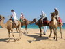 Kamel Reiten Nuweiba