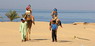 Kamel Reiten Nuweiba