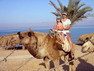 Delfin & Erlebnis Therapie Sinai