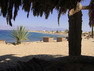 Delfin & Erlebnis Therapie Sinai